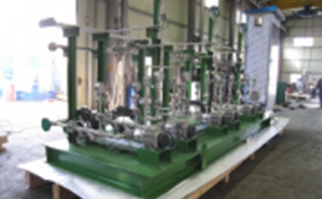 Ammonia Injection System (for Pttchem Power Plants THAILAND)