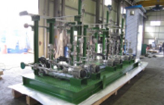 Ammonia Injection System (for Pttchem Power Plants THAILAND)